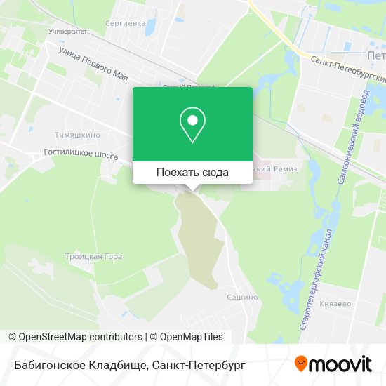 Карта Бабигонское Кладбище
