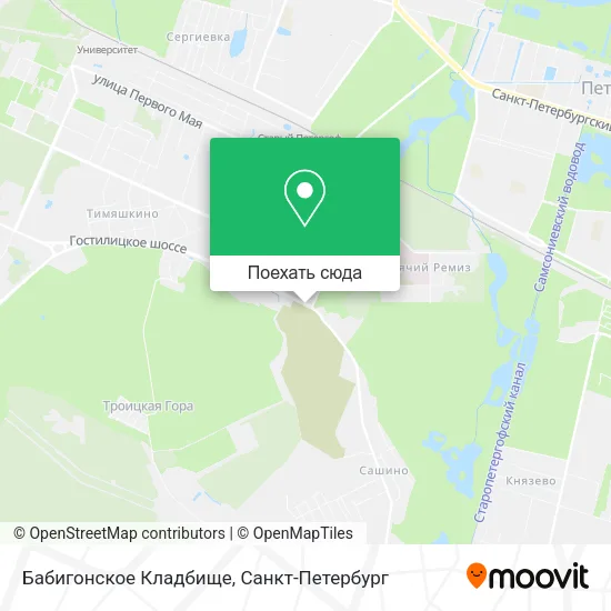 Карта Бабигонское Кладбище