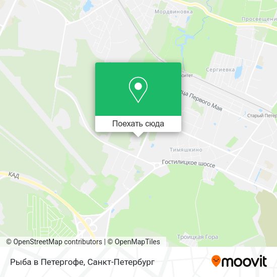 Карта Рыба в Петергофе