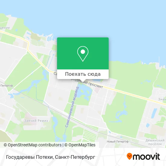 Карта Государевы Потехи