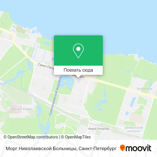 Карта Морг Николаевской Больницы