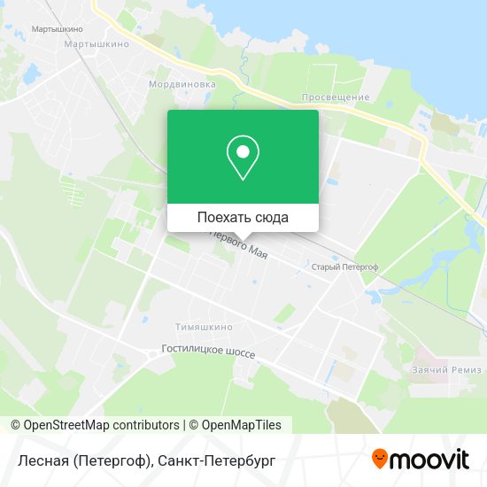 Карта Лесная (Петергоф)