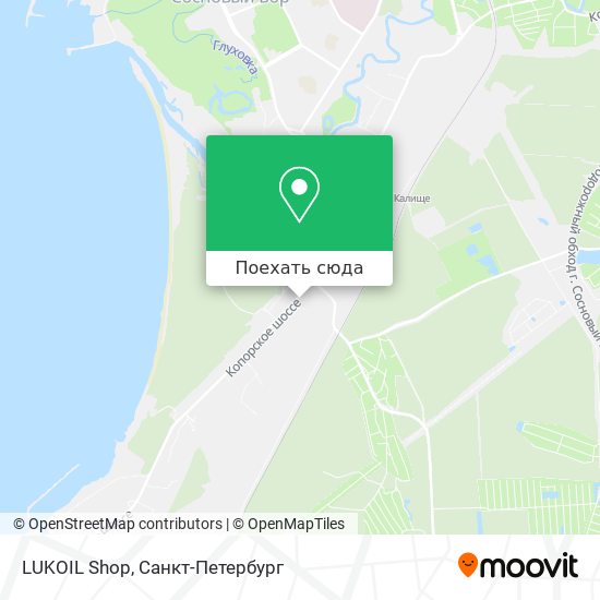 Карта LUKOIL Shop