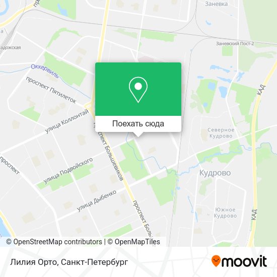 Карта Лилия Орто