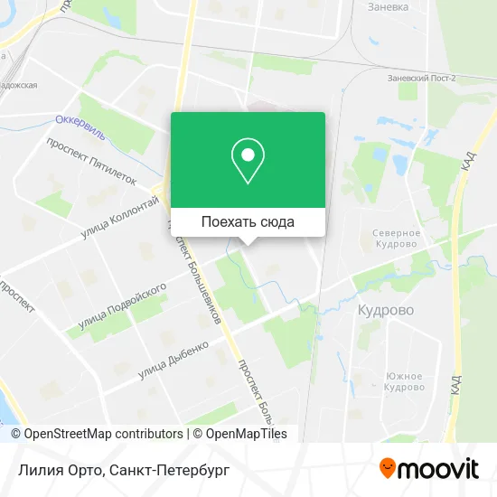 Карта Лилия Орто