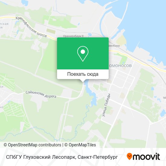 Карта СПбГУ Глуховский Лесопарк