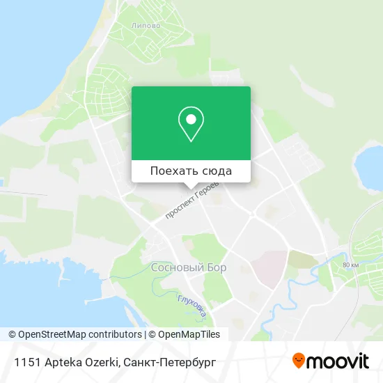 Карта 1151 Apteka Ozerki