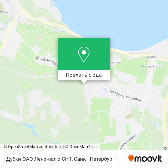 Карта Дубки ОАО Ленэнерго СНТ