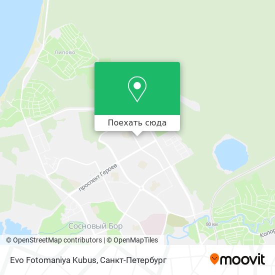 Карта Evo Fotomaniya Kubus