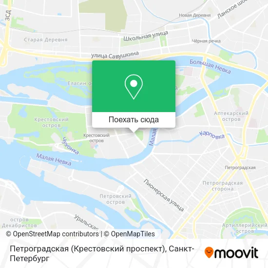 Карта Петроградская (Крестовский проспект)