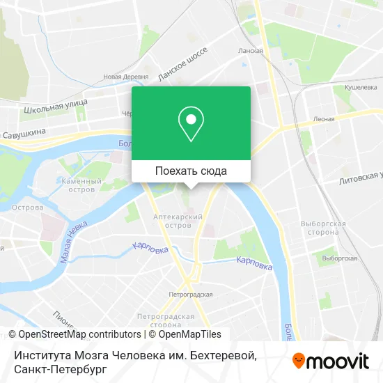 Карта Института Мозга Человека им. Бехтеревой