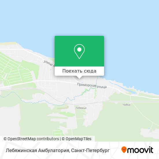 Карта Лебяжинская Амбулатория