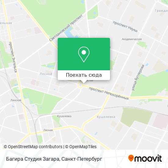 Карта Багира Студия Загара