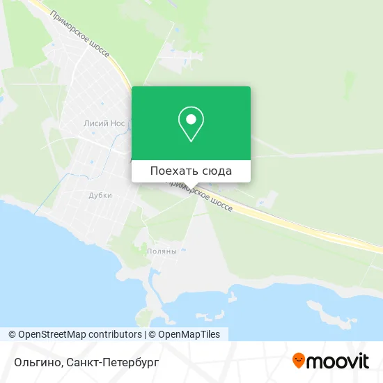 Карта Ольгино