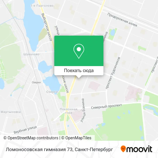 Карта Ломоносовская гимназия 73