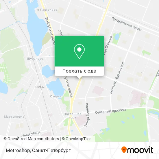 Карта Metroshop