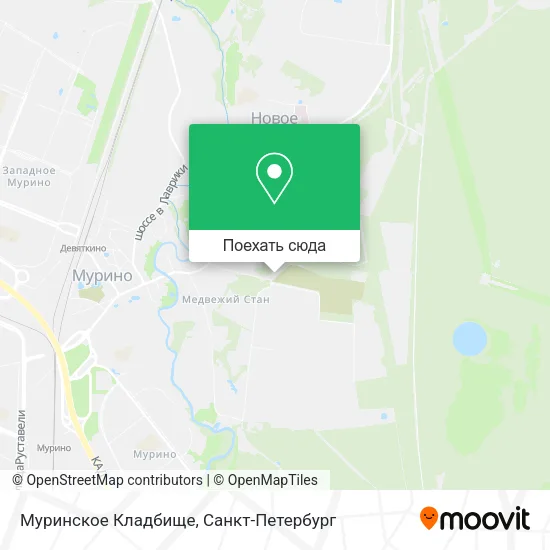 Карта Муринское Кладбище