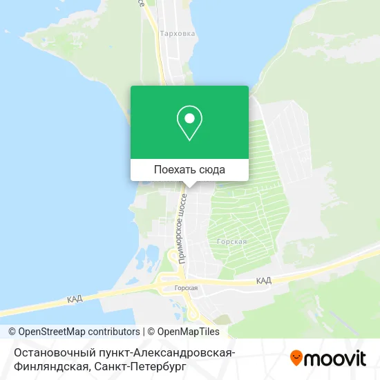 Карта Остановочный пункт-Александровская-Финляндская