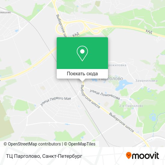 Карта ТЦ Парголово