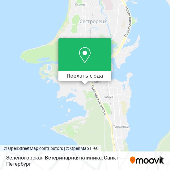 Карта Зеленогорская Ветеринарная клиника