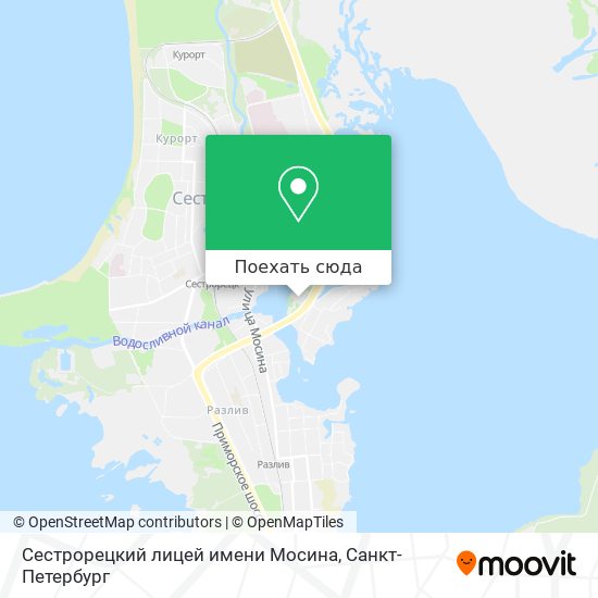 Карта Сестрорецкий лицей имени Мосина