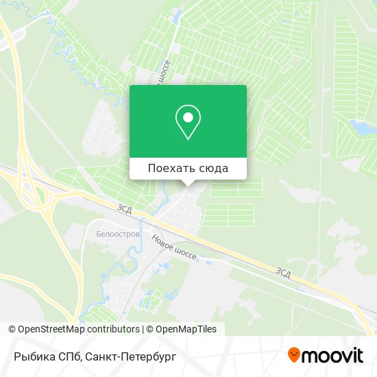 Карта Рыбика СПб