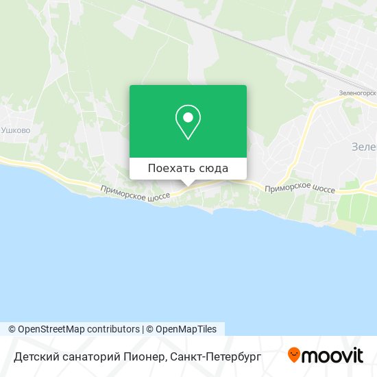 Карта Детский санаторий Пионер