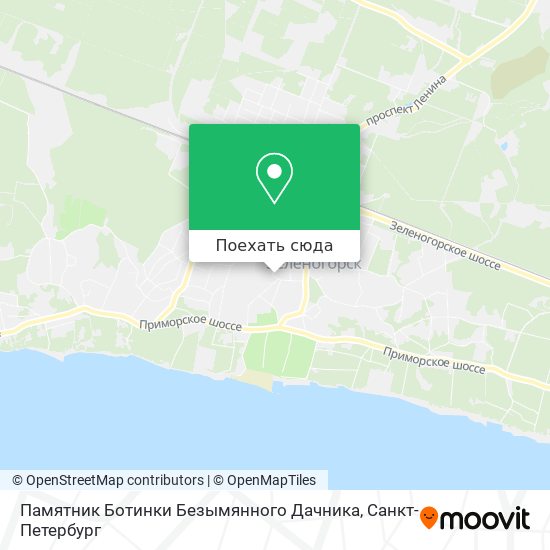 Карта Памятник Ботинки Безымянного Дачника