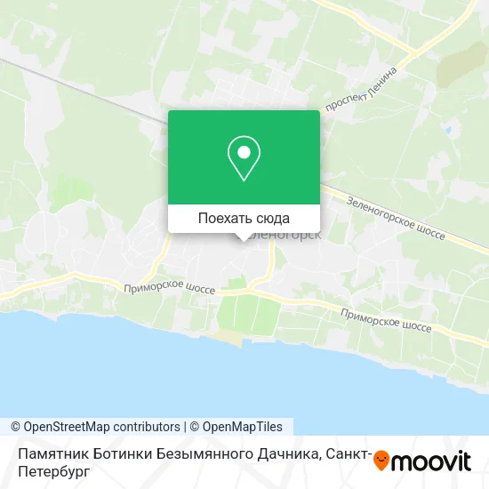 Карта Памятник Ботинки Безымянного Дачника