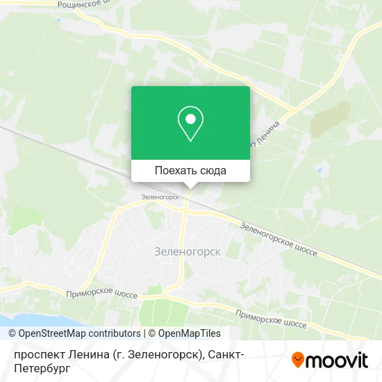 Карта проспект Ленина (г. Зеленогорск)