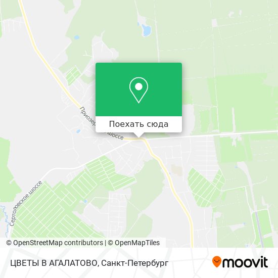 Карта ЦВЕТЫ В АГАЛАТОВО