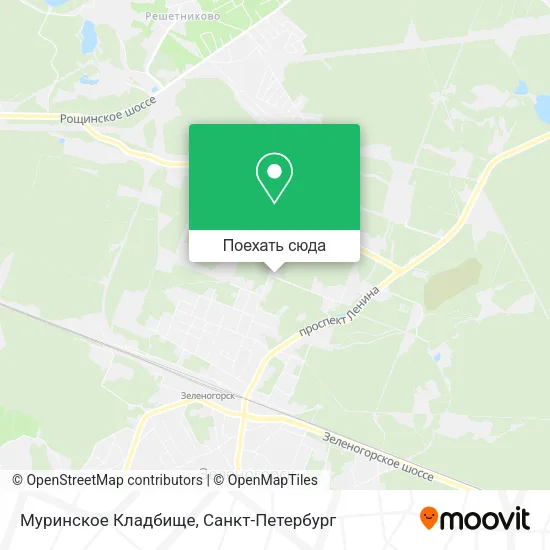 Карта Муринское Кладбище