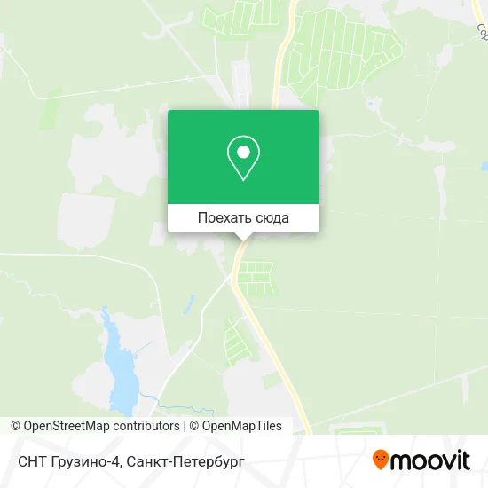 Карта СНТ Грузино-4