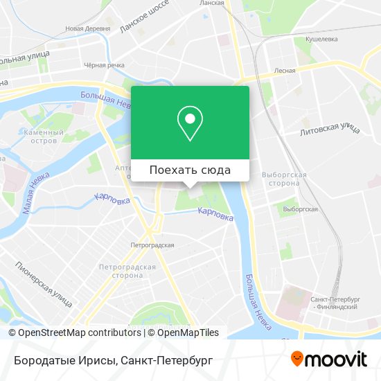 Карта Бородатые Ирисы