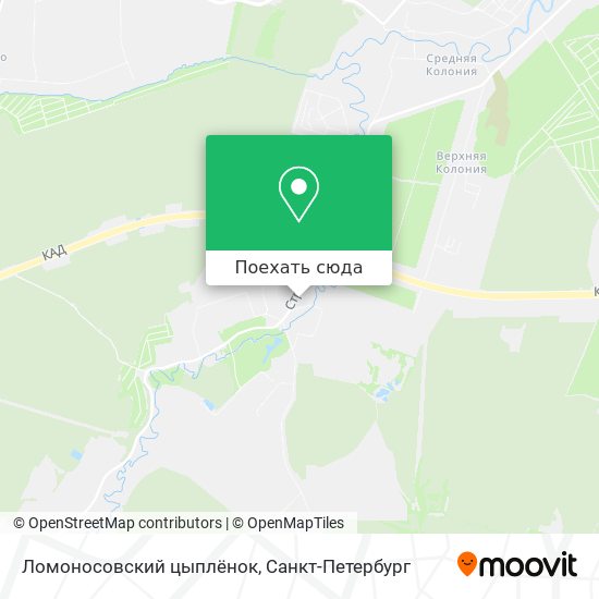 Карта Ломоносовский цыплёнок