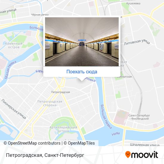 Карта Петроградская