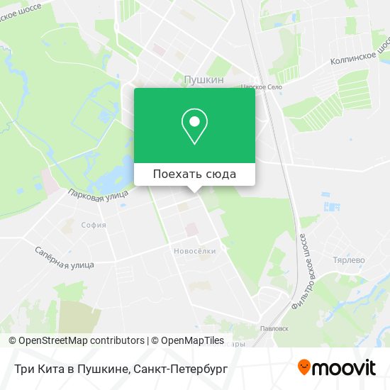 Карта Три Кита в Пушкине