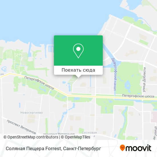 Карта Соляная Пещера Forrest