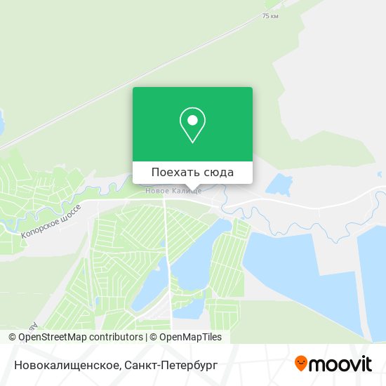 Карта Новокалищенское