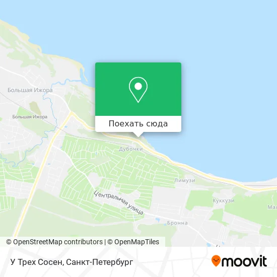 Карта У Трех Сосен