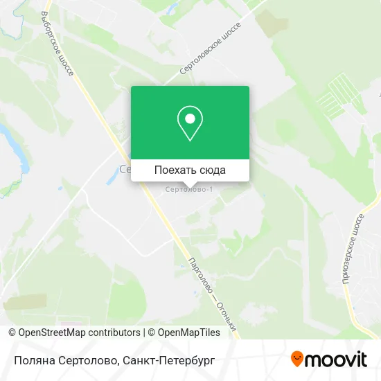 Карта Поляна Сертолово