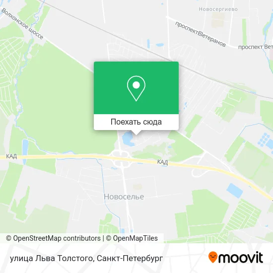 Карта улица Льва Толстого