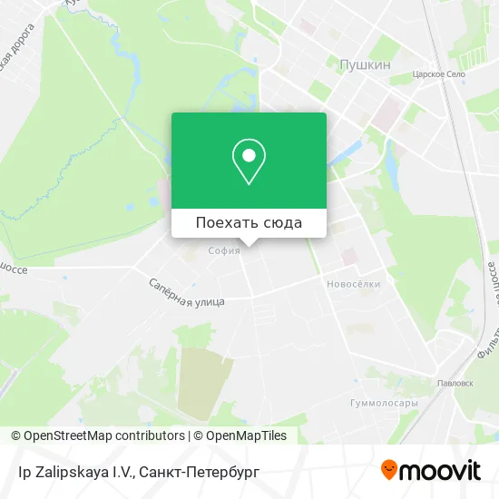 Карта Ip Zalipskaya I.V.