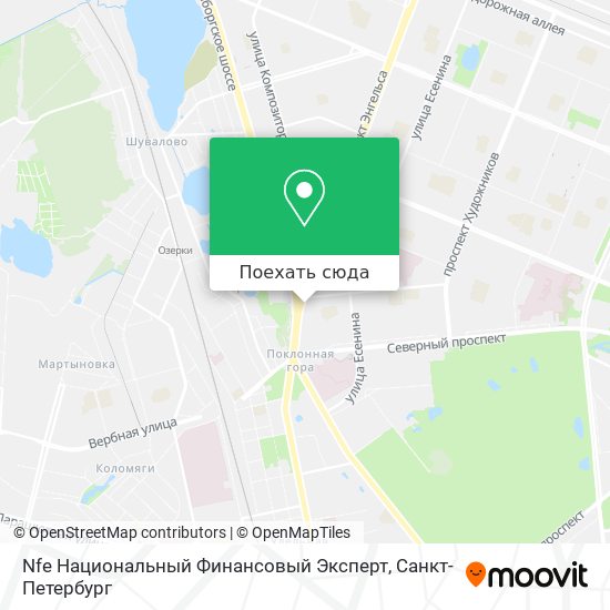 Карта Nfe Национальный Финансовый Эксперт