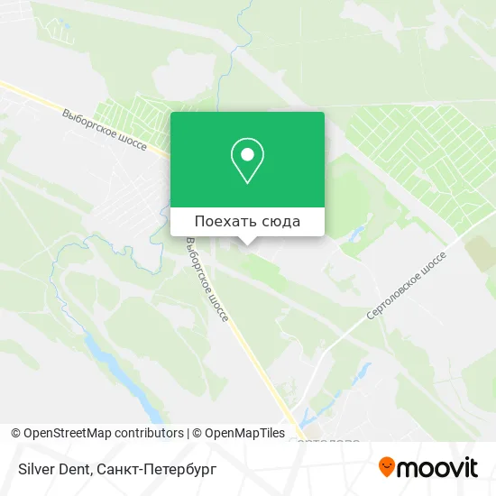 Карта Silver Dent