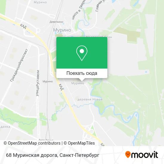 Карта 68 Муринская дорога