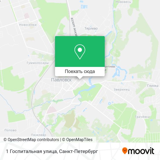 Карта 1 Госпитальная улица