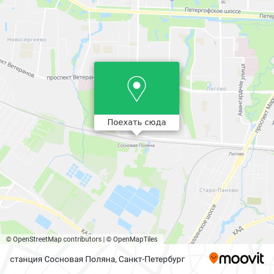 Карта станция Сосновая Поляна