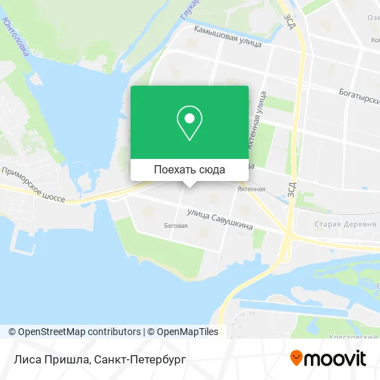 Карта Лиса Пришла