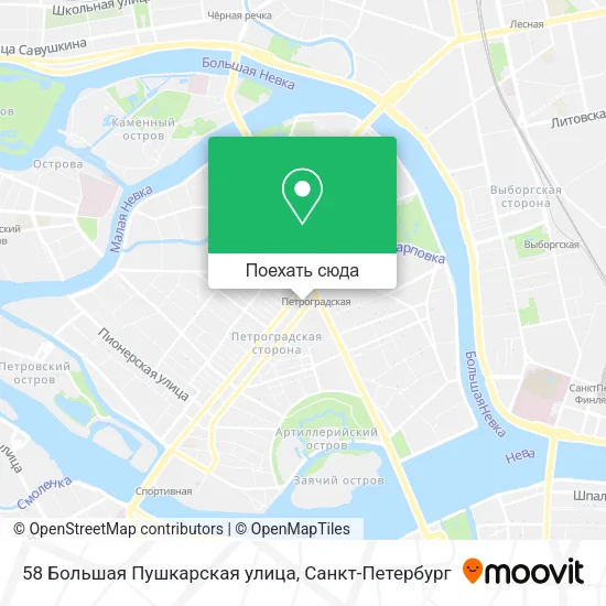 Карта 58 Большая Пушкарская улица